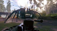 Active Matter f&uuml;hrt euch durchs Feuer!