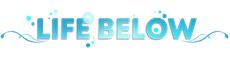LIFE BELOW partners with Whale and Dolphin Conservation to support ocean life.