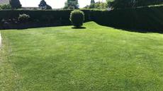 Rasenpflege im Fr&uuml;hjahr: Diese Fehler sollten Sie vermeiden