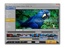 Video Splitter schneidet Flash-Videos in Sekunden 