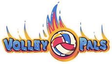 Volley Pals New Free Demo Available Now on Steam